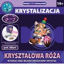 krysztalowa-roza-profesor-albert-dromader