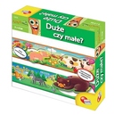 karotka-duze-czy-male-zawody-i-narzedzia-w-prawo-czy-w-lewo-liscianigiochi