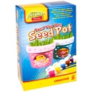 domowy-ogrodek-dla-dziewczynki-grafix-rms